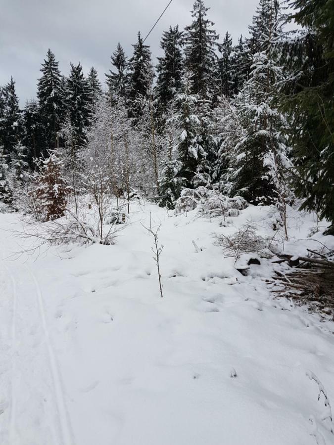 Rosalie - Lake - Hiking&Swimming - Cozy&Nature Winterberg Exterior photo